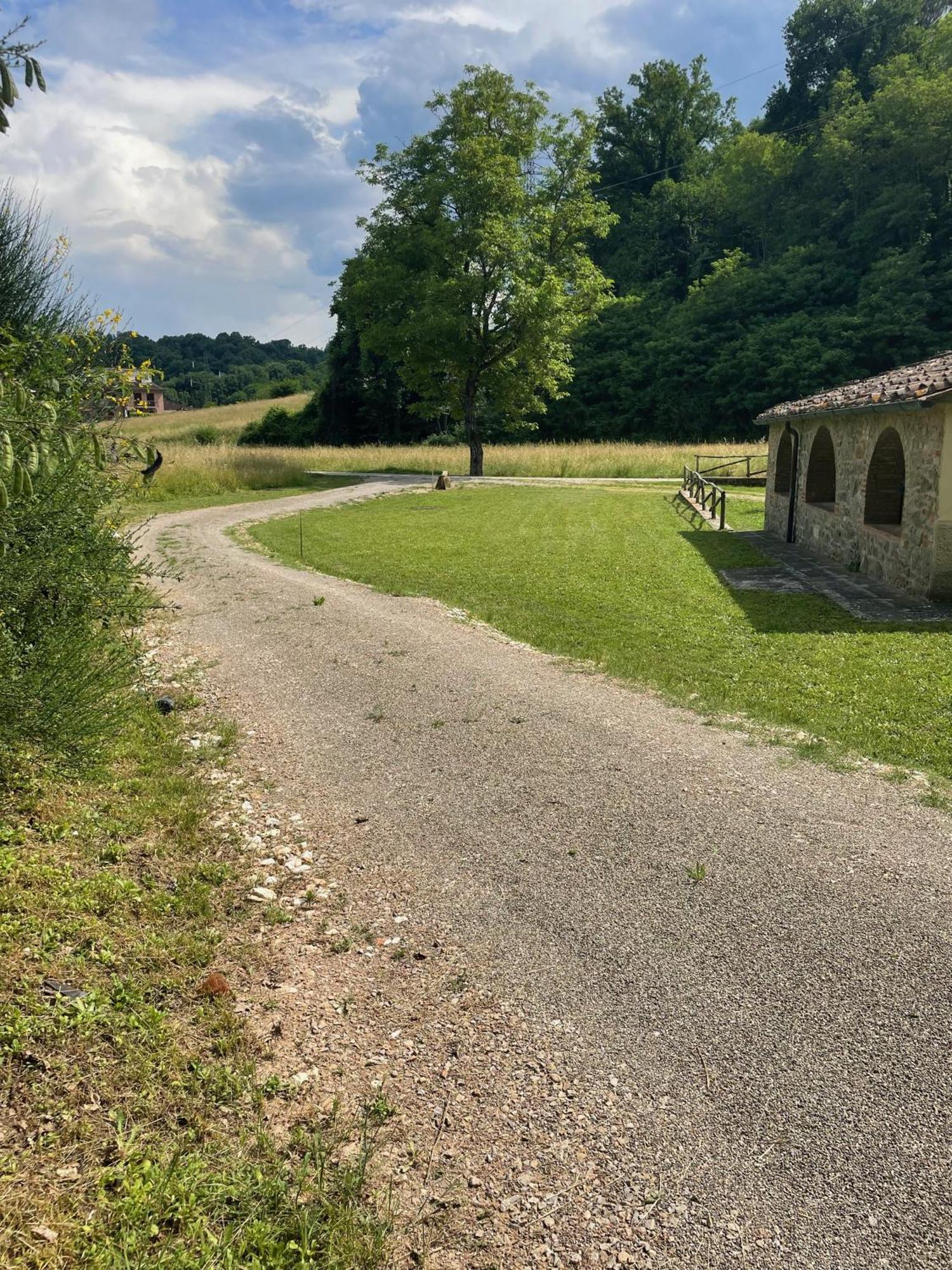 Gioconda casa vacanze Villa Montevarchi Dış mekan fotoğraf