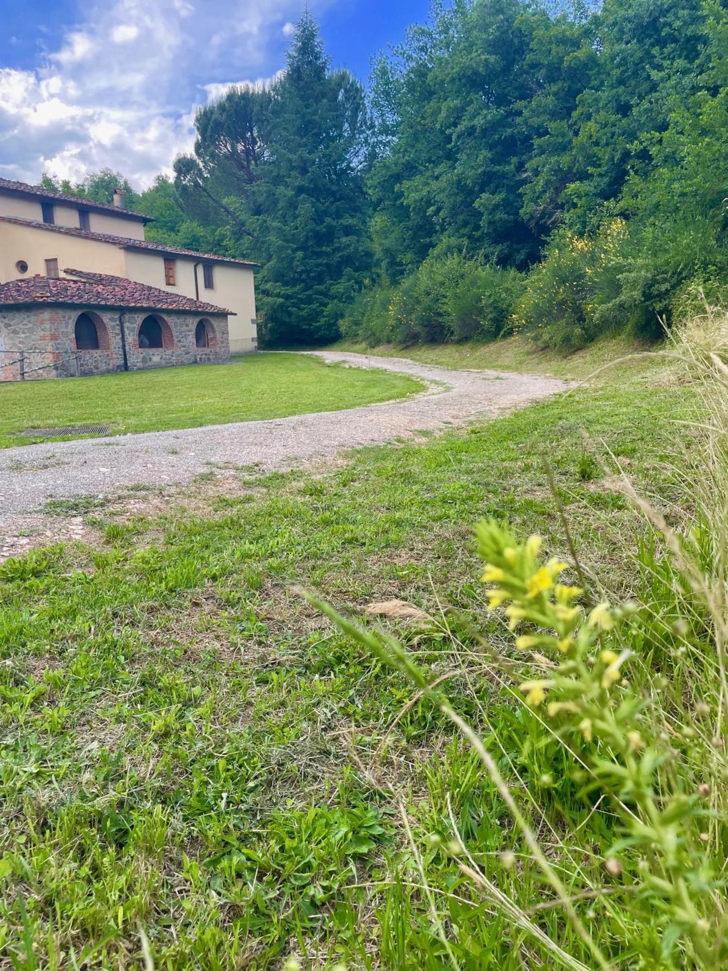 Gioconda casa vacanze Villa Montevarchi Dış mekan fotoğraf